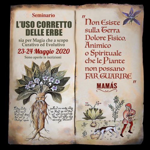 Alchimia Alchimista Magia Corsi Libri Nume Erbe Magiche Spagiria Erboristeria Kaar Yampuj Mamàs Fuoco della Conoscenza Sciamanesimo Mistica